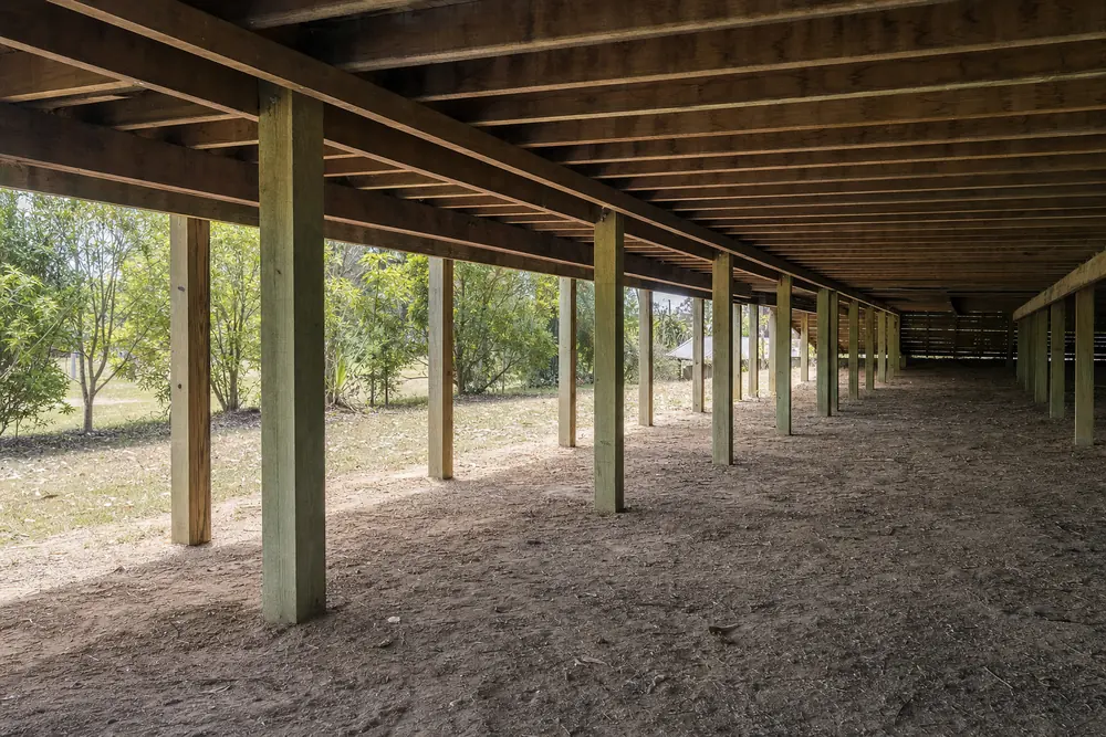 The open space beneath a raised timber floor, square timber posts standing on bare ground under the bearers and joists — house raising, Gold Coast. Illustrative example.